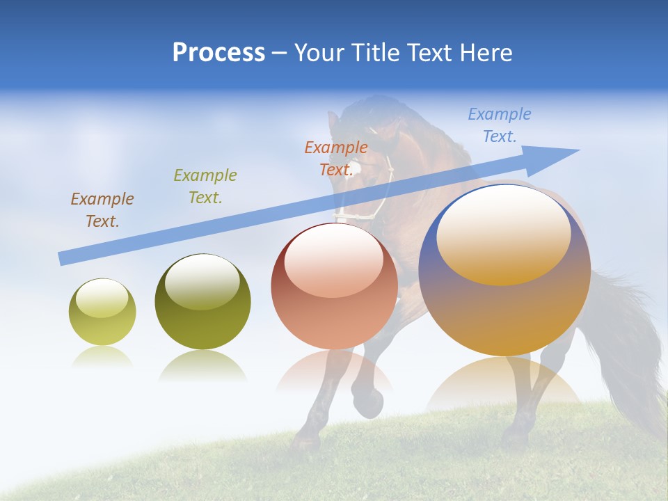 Horse PowerPoint Template