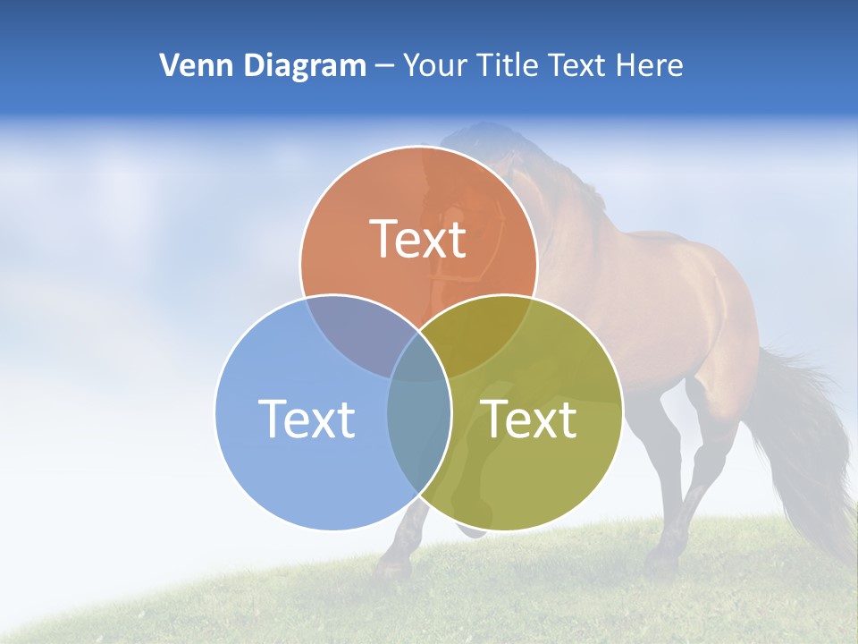 Horse PowerPoint Template