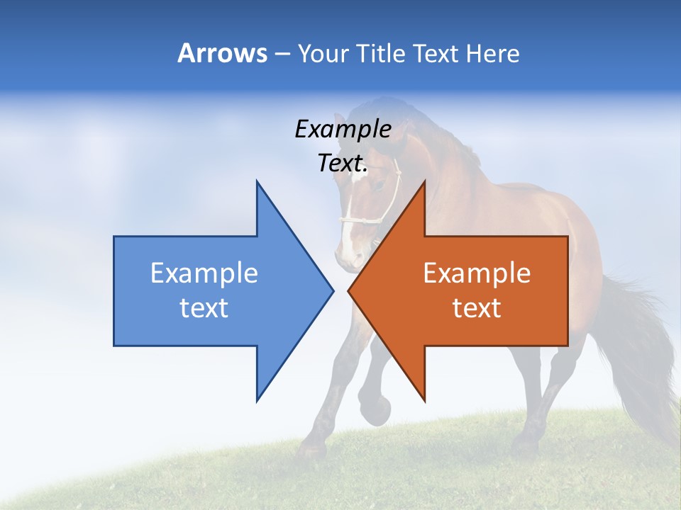 Horse PowerPoint Template