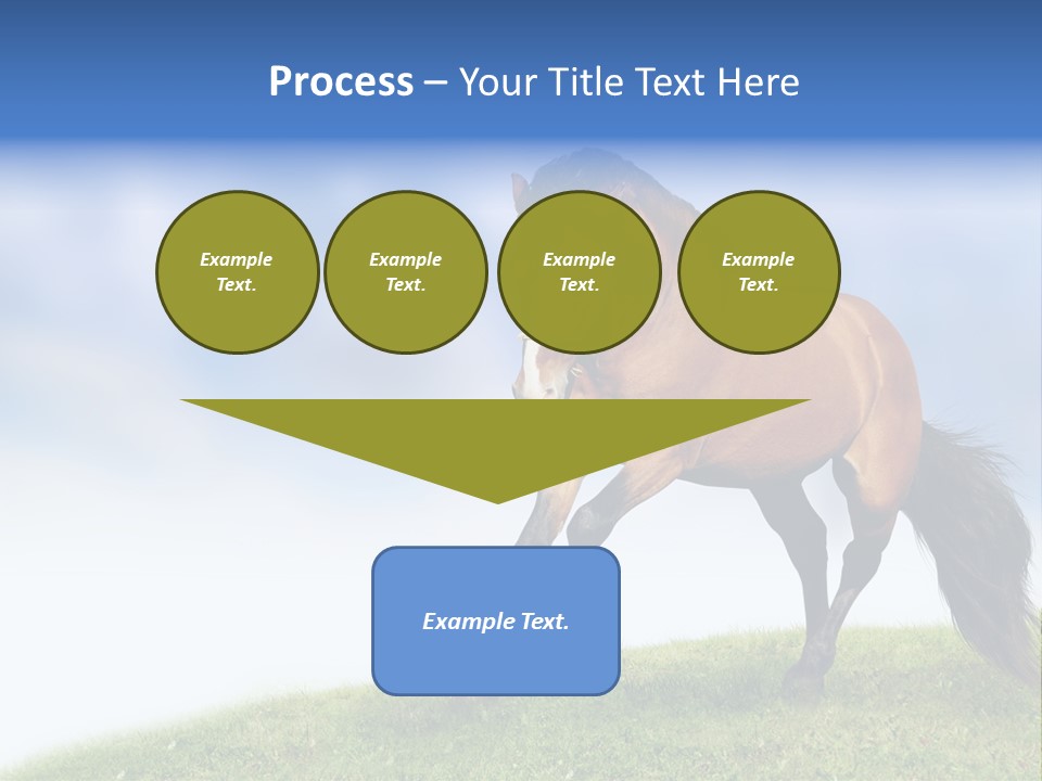 Horse PowerPoint Template