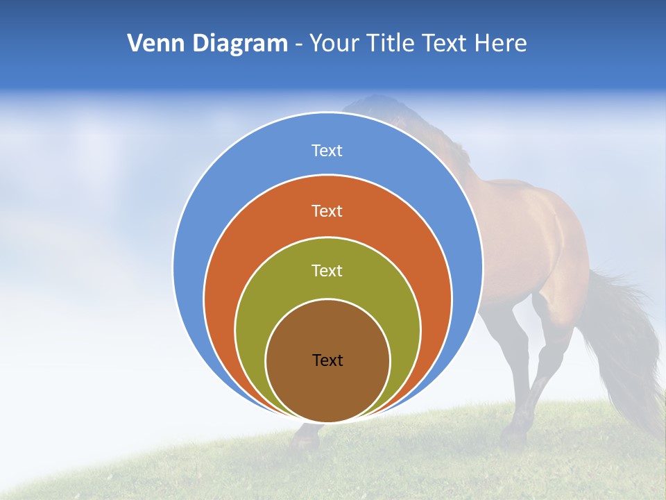 Horse PowerPoint Template