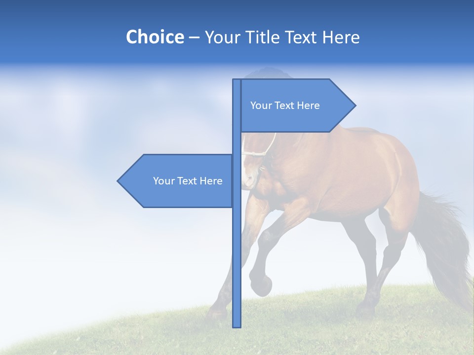Horse PowerPoint Template