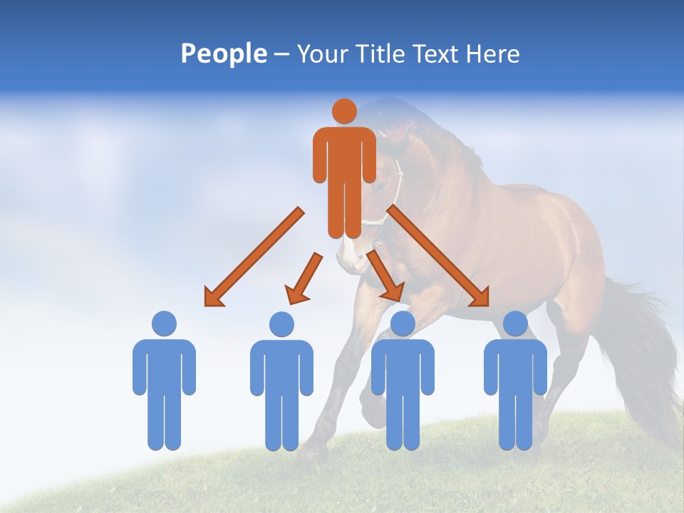 Horse PowerPoint Template