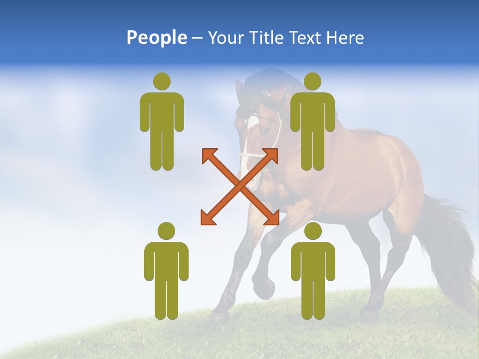 Horse PowerPoint Template