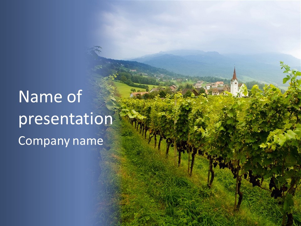 Vineyard PowerPoint Template