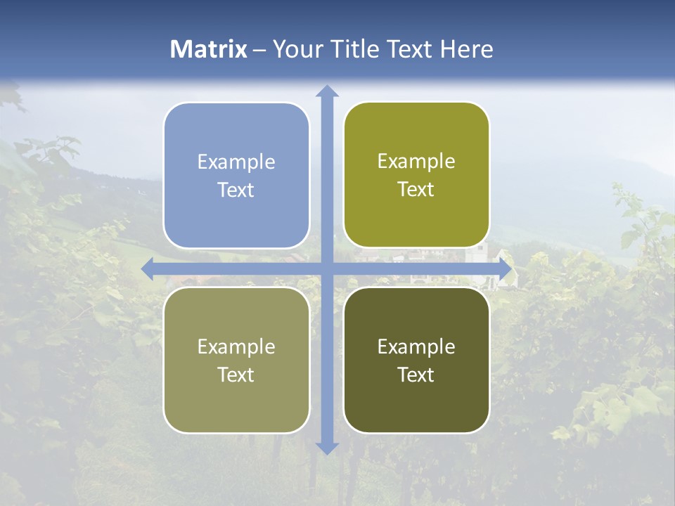 Vineyard PowerPoint Template