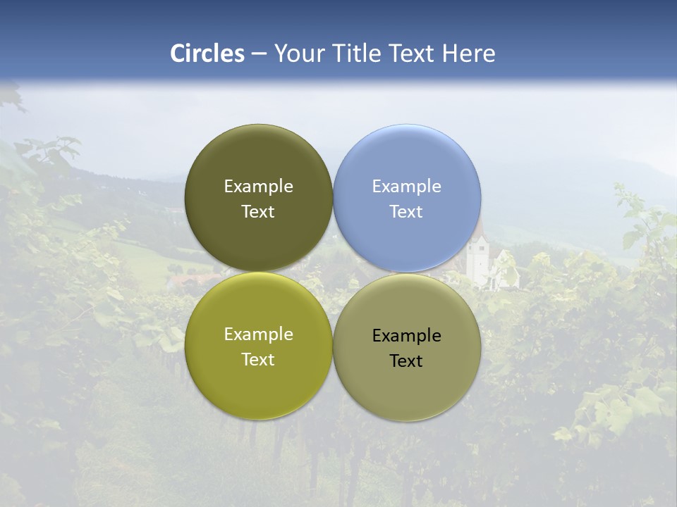 Vineyard PowerPoint Template