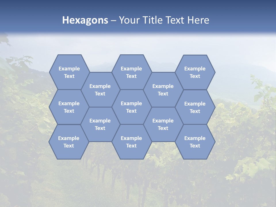 Vineyard PowerPoint Template