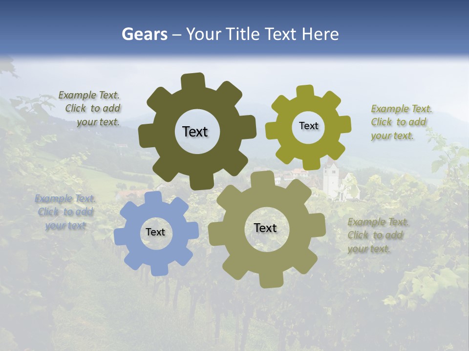 Vineyard PowerPoint Template