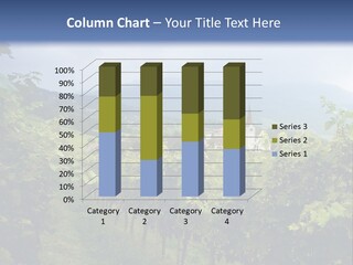 Vineyard PowerPoint Template