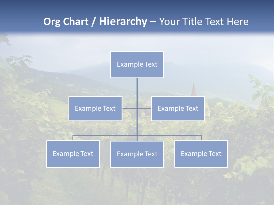 Vineyard PowerPoint Template