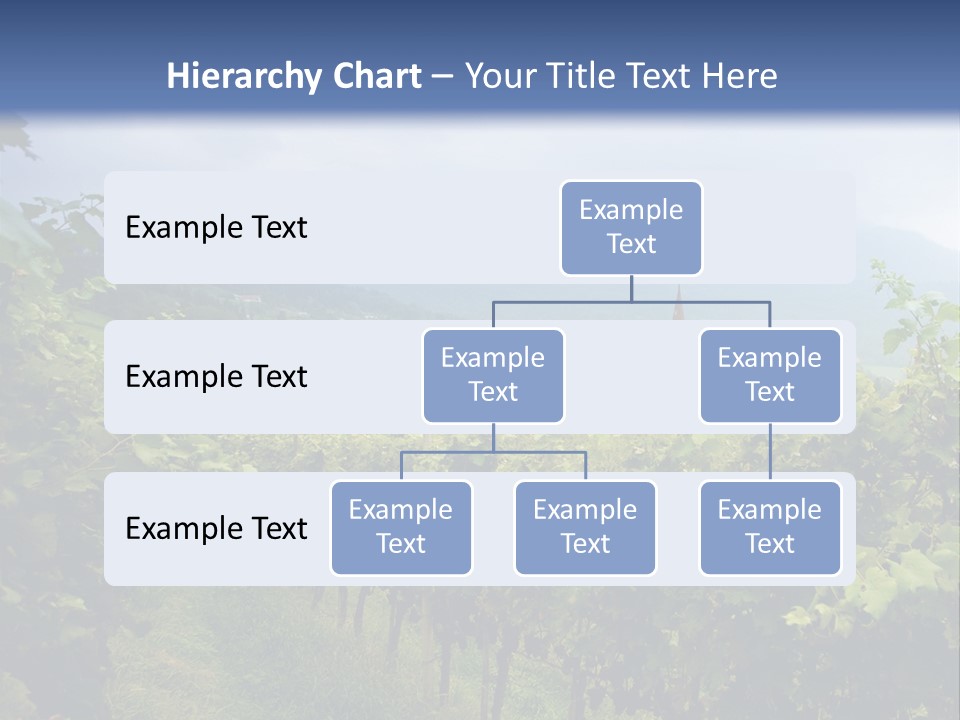 Vineyard PowerPoint Template