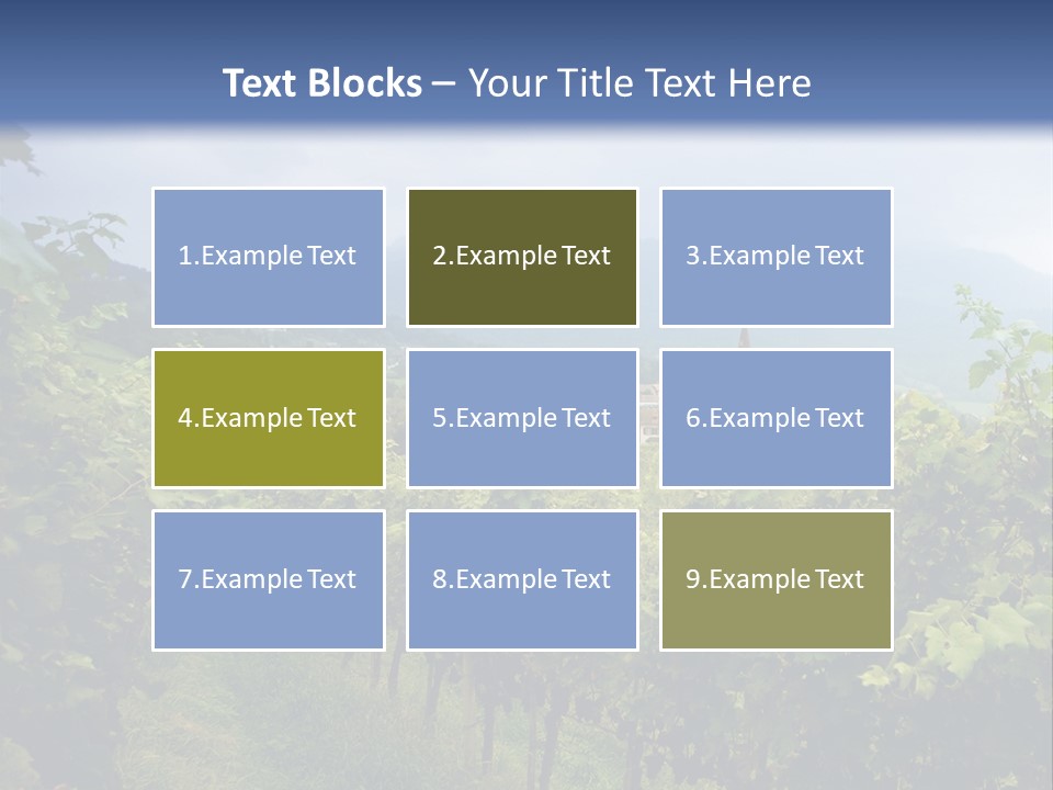 Vineyard PowerPoint Template