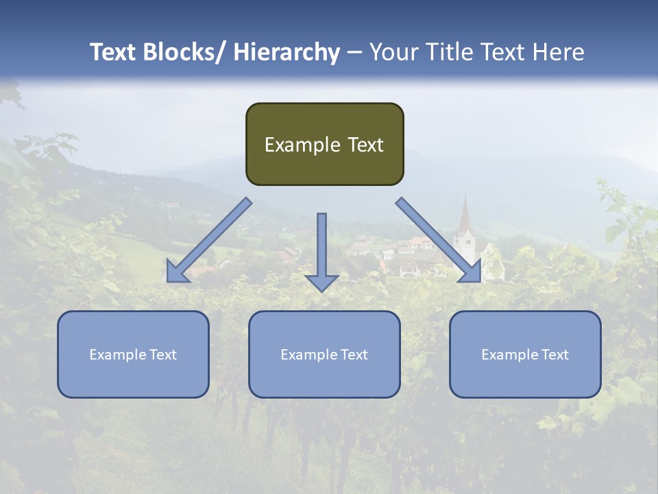 Vineyard PowerPoint Template