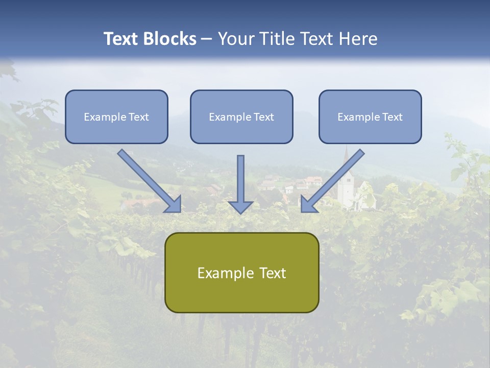Vineyard PowerPoint Template