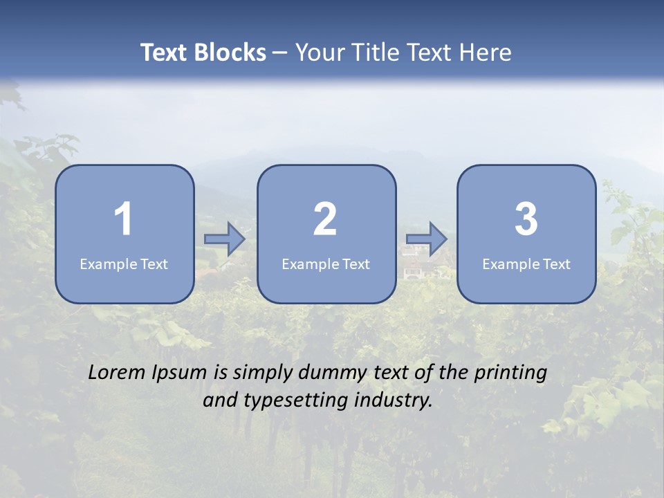 Vineyard PowerPoint Template