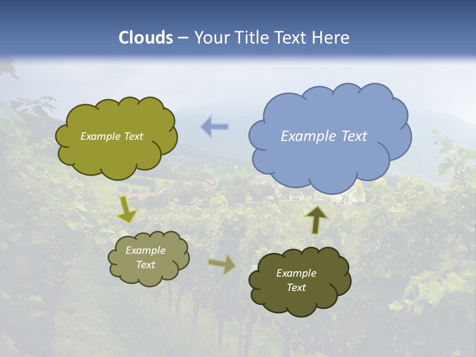 Vineyard PowerPoint Template