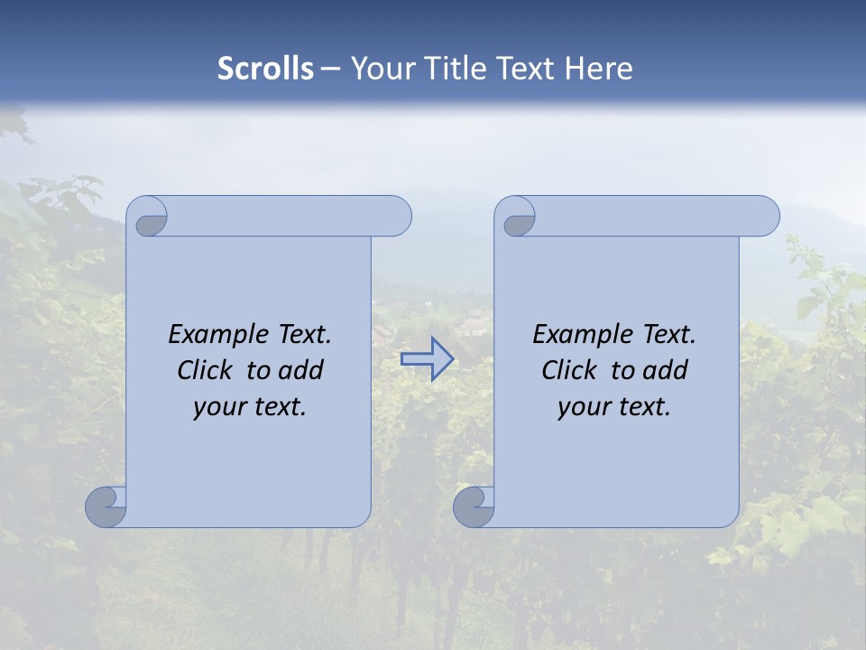 Vineyard PowerPoint Template