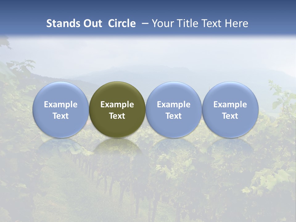 Vineyard PowerPoint Template