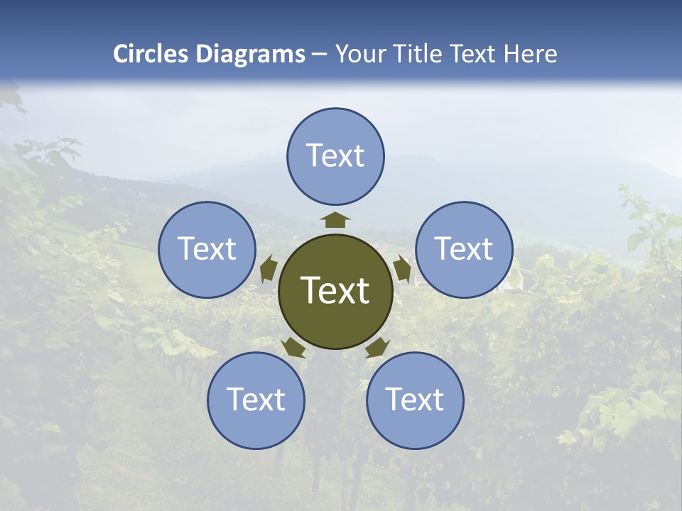 Vineyard PowerPoint Template