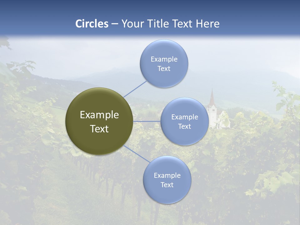 Vineyard PowerPoint Template