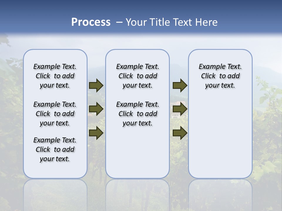 Vineyard PowerPoint Template
