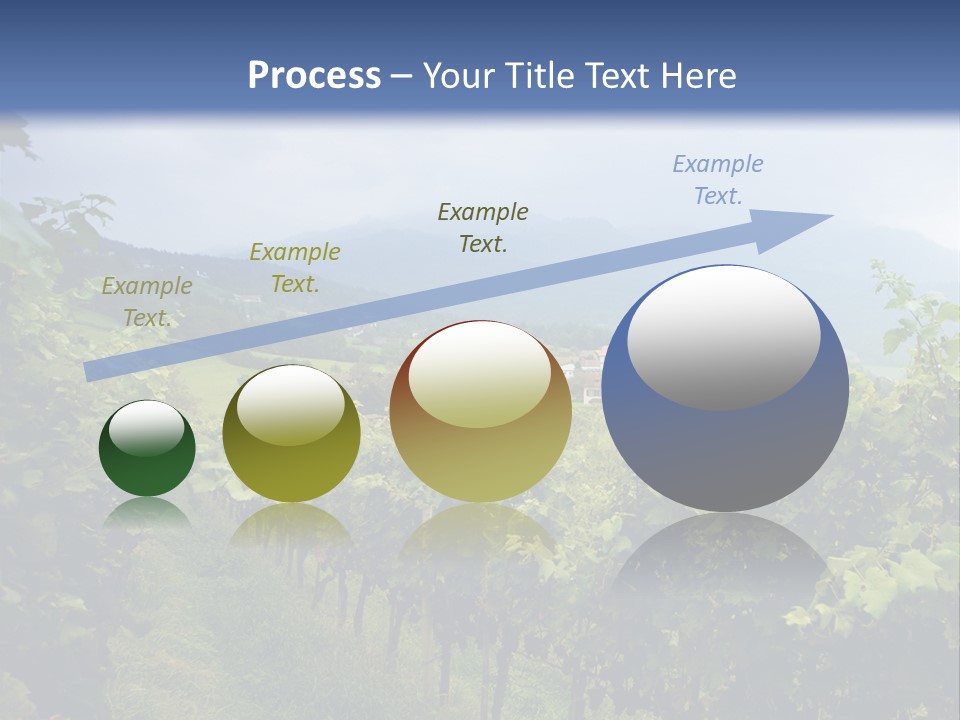 Vineyard PowerPoint Template