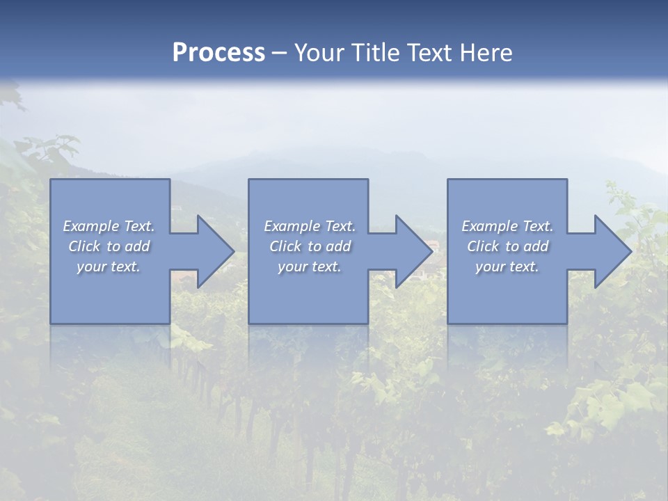 Vineyard PowerPoint Template
