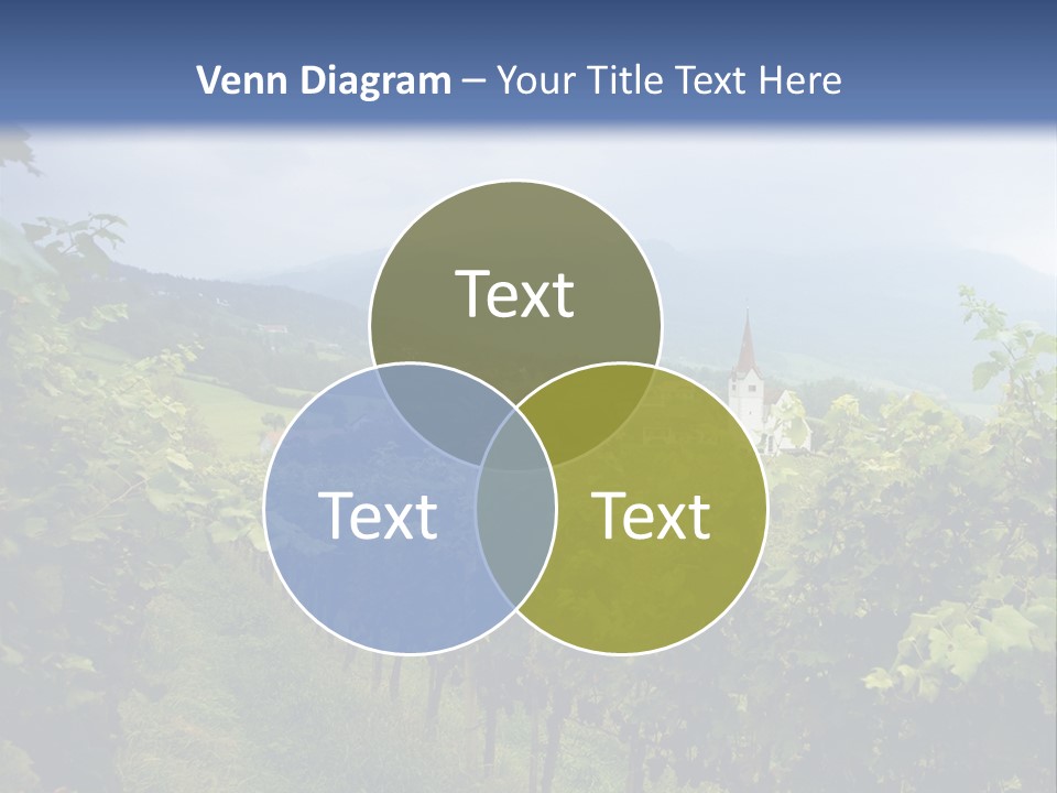Vineyard PowerPoint Template