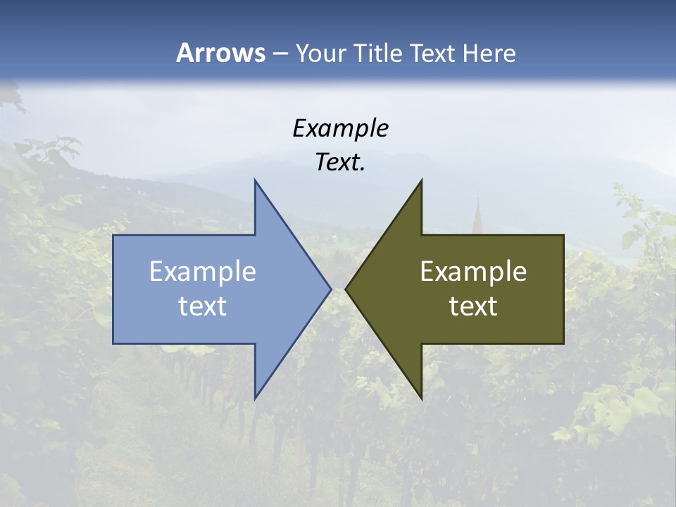 Vineyard PowerPoint Template