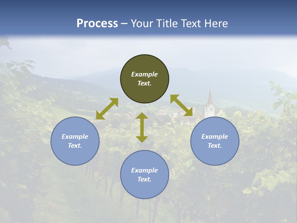 Vineyard PowerPoint Template