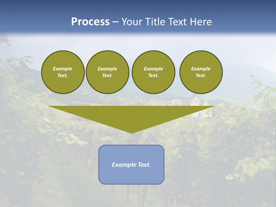 Vineyard PowerPoint Template