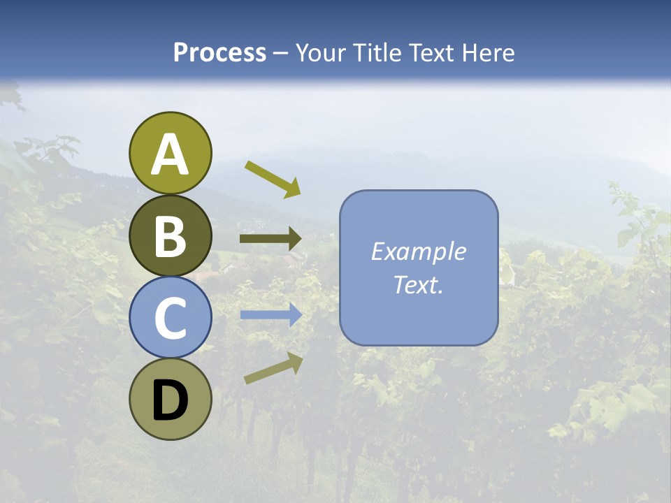 Vineyard PowerPoint Template