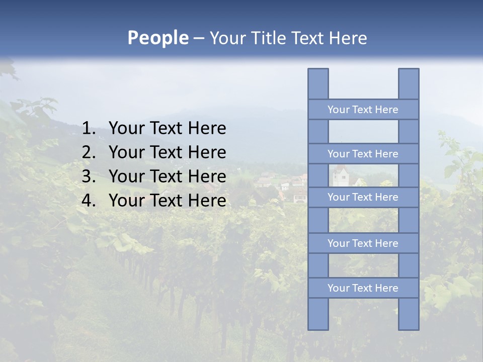 Vineyard PowerPoint Template