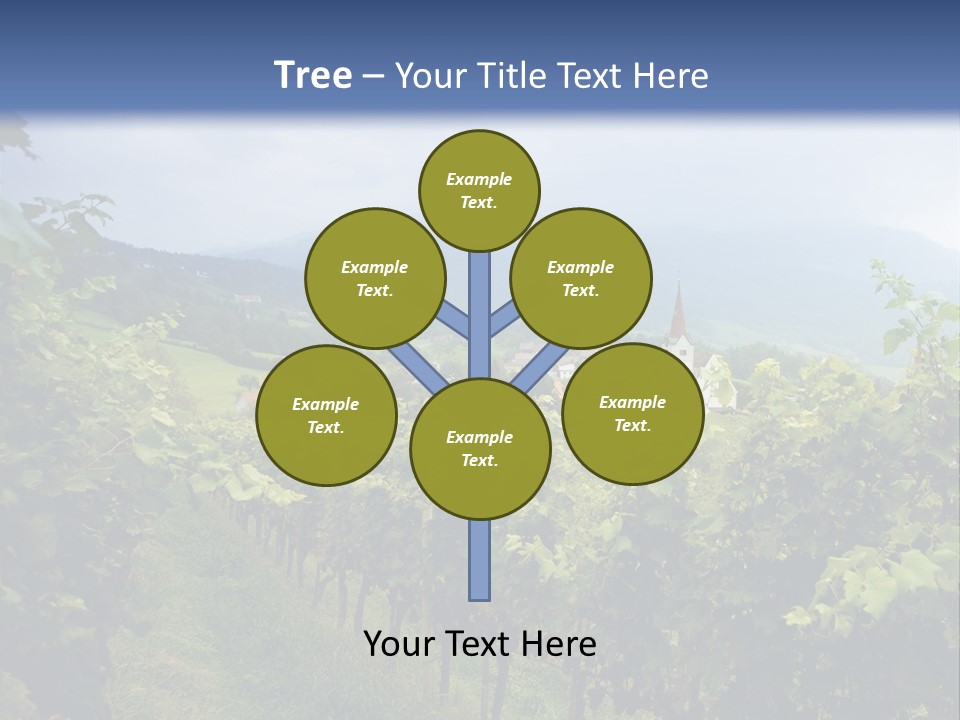 Vineyard PowerPoint Template