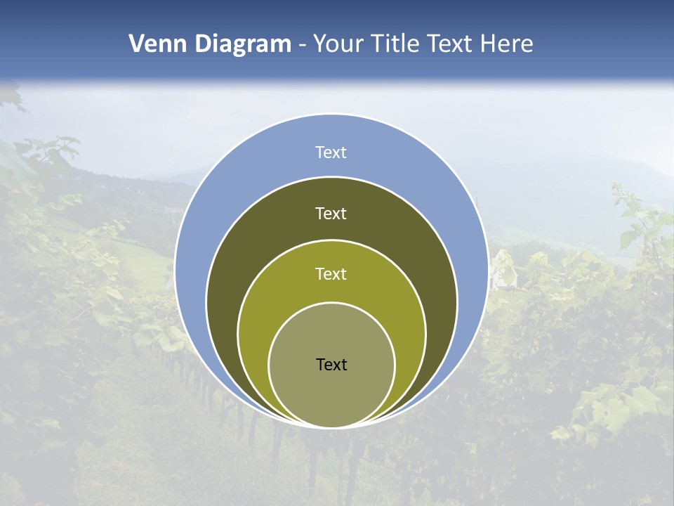 Vineyard PowerPoint Template