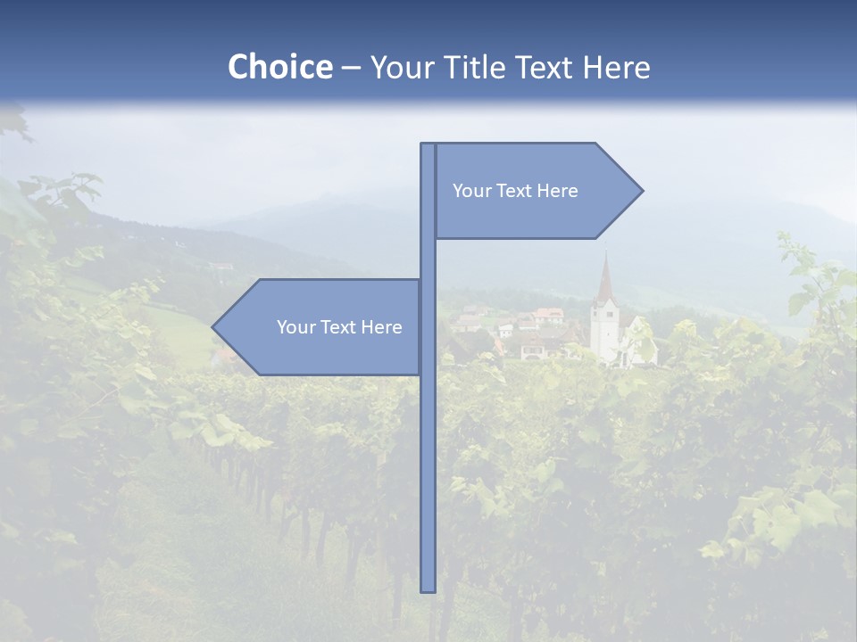 Vineyard PowerPoint Template