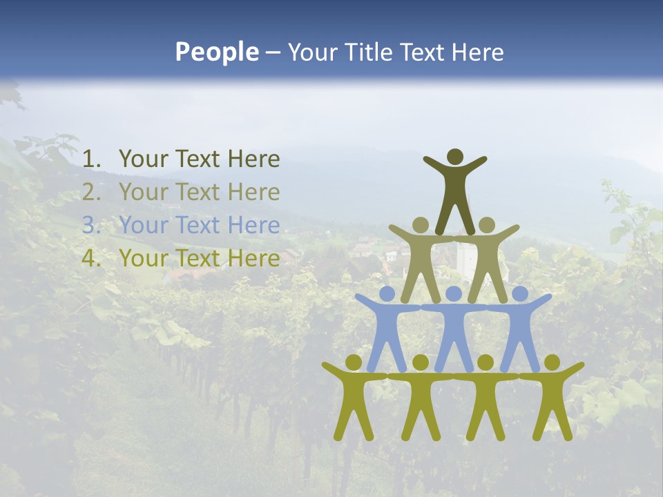 Vineyard PowerPoint Template