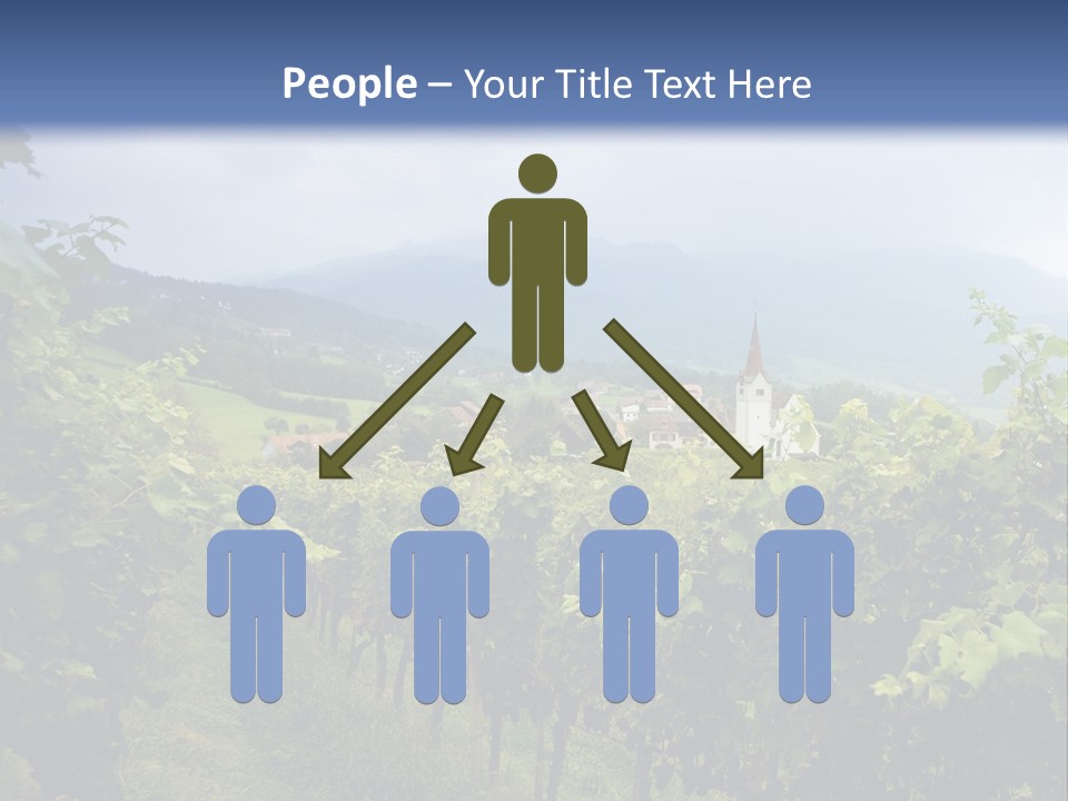 Vineyard PowerPoint Template