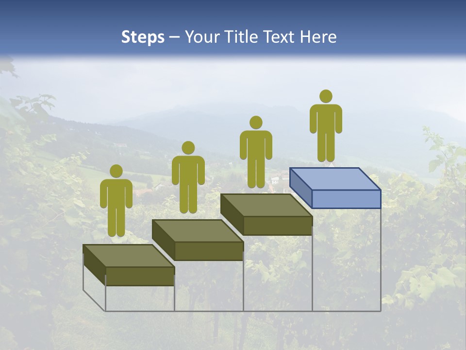 Vineyard PowerPoint Template