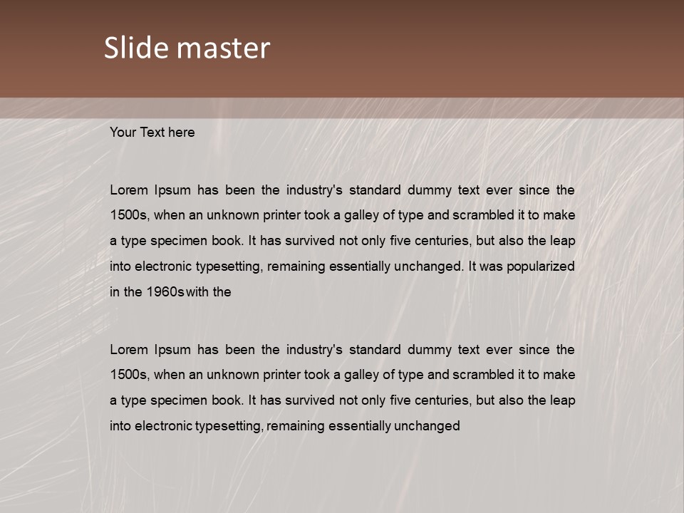 Long Macro Background PowerPoint Template