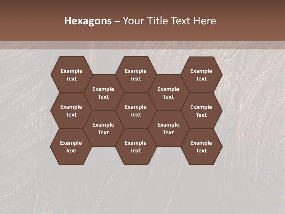 Long Macro Background PowerPoint Template