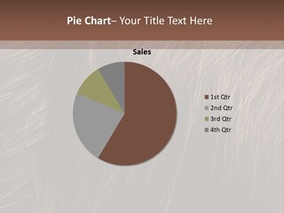 Long Macro Background PowerPoint Template