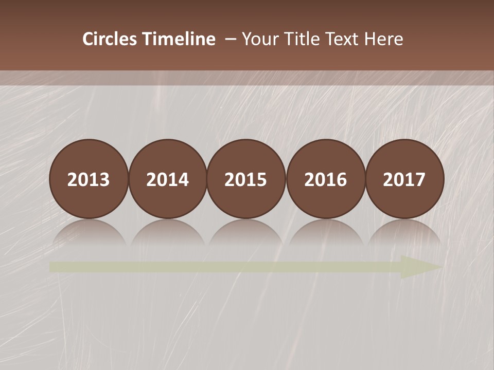 Long Macro Background PowerPoint Template