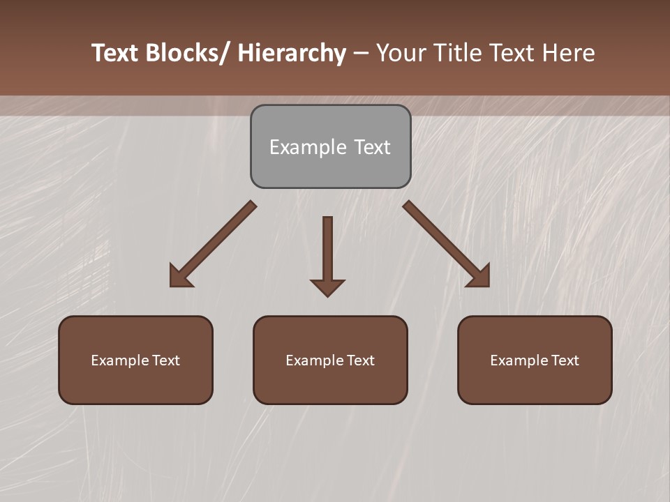 Long Macro Background PowerPoint Template