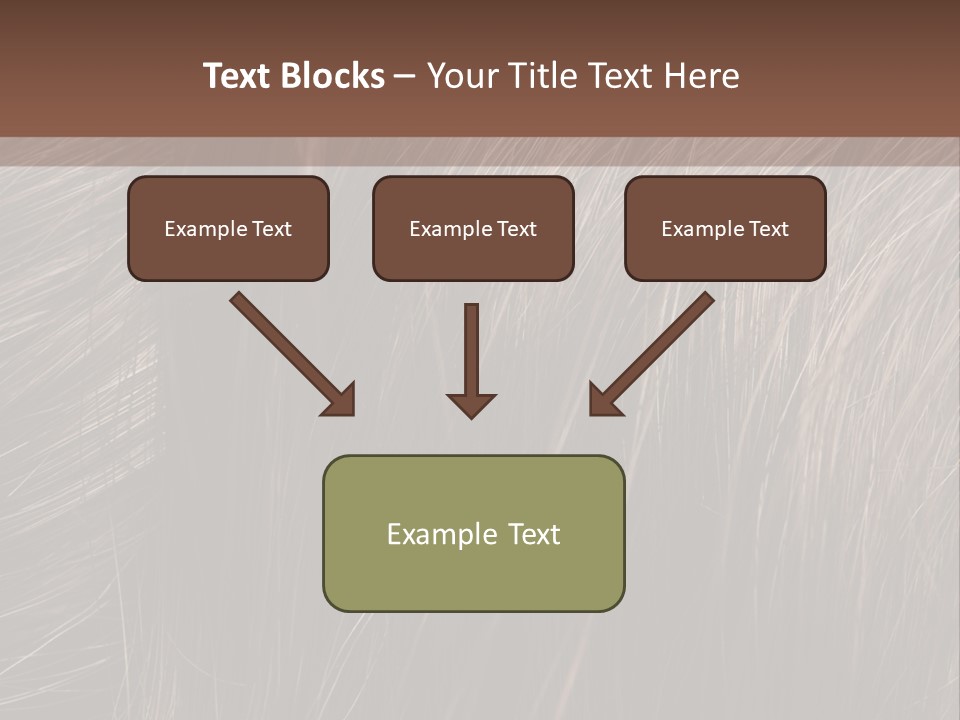 Long Macro Background PowerPoint Template