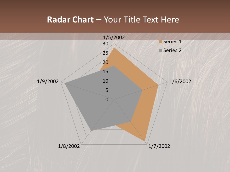 Long Macro Background PowerPoint Template
