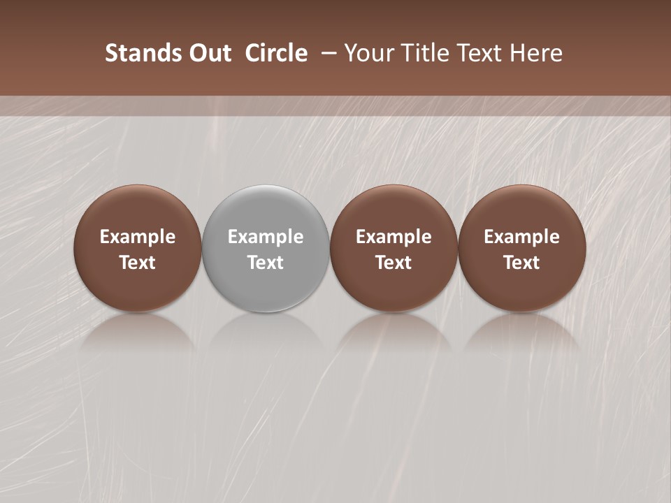 Long Macro Background PowerPoint Template