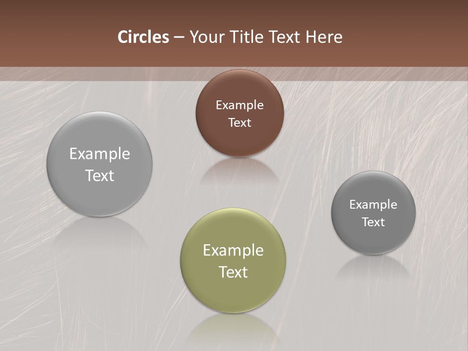Long Macro Background PowerPoint Template