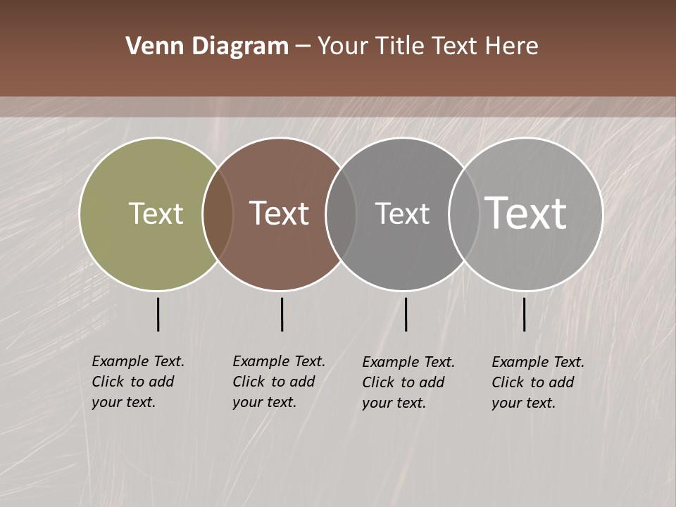 Long Macro Background PowerPoint Template